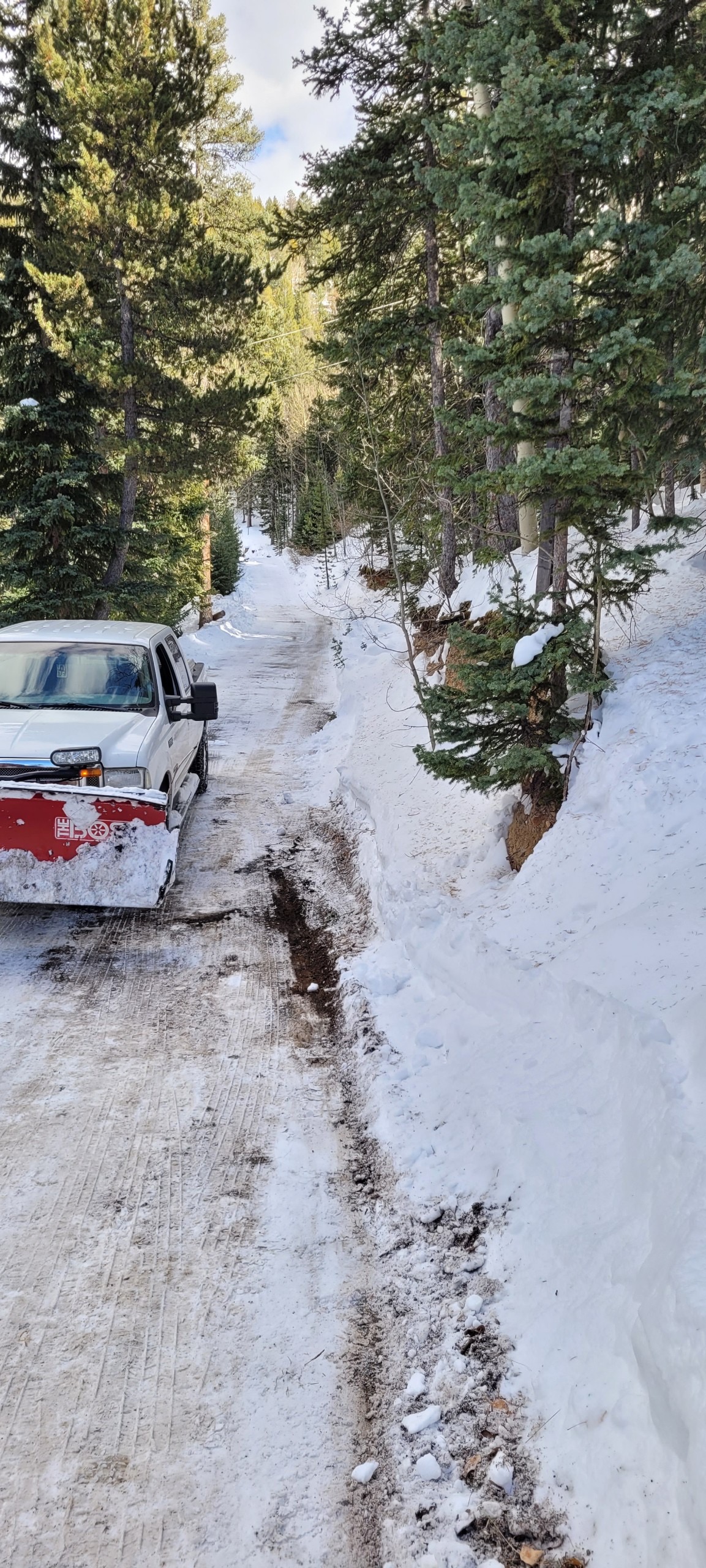 Driveway cleared of snow